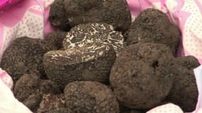 Truffes