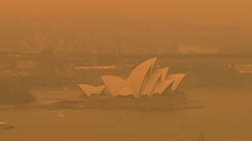 Sydney: la ville plongée dans une épaisse pollution due aux feux de forêt