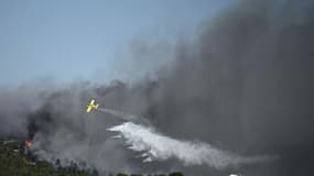 Un avion largue de l'eau sur un incendie de forêt qui s'est déclaré à Pikermi, à une trentaine de kilomètres à l'est d'Athènes, le 3 juillet 2025.