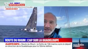 "L'homme a toujours voulu aller de plus en plus vite sur la mer": Michel Desjoyeaux analyse le départ de la Route du Rhum