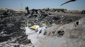 Sur les lieux du crash du vol MH17, à l'est de l'Ukraine, le 2 août 2014.