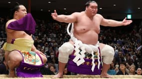 Terunofuji sur le ring lors du Grand Tournoi du Nouvel An, le 14 janvier 2025