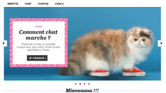Sur Charenza, des chaussures spécialement adaptées aux matous. Sur Charenza, des chaussures spécialement adaptées aux matous.