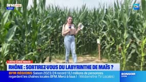 L'été chez nous: sortirez-vous du labyrinthe de maïs? 