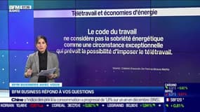 BFM Business avec vous : Le télétravail peut-il être imposé dans une entreprise pour faire des économies d'énergie ? - 12/01