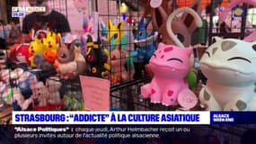 Strasbourg: "addicte" à la culture asiatique