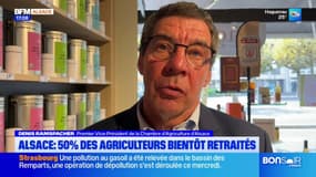Alsace: 50% des agriculteurs bientôt retraités