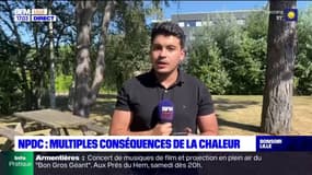 Nord-Pas-de-Calais: une chaleur aux multiples conséquences 