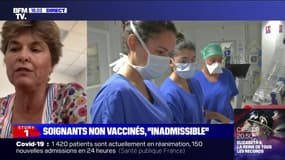Pour la Pr Laurence Maulin (hôpital d'Aix-en-Provence): "On a à l'hôpital une responsabilité de ne pas transmettre de maladies"