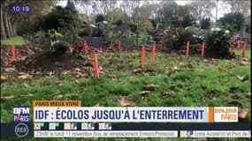 Paris Mieux Vivre : la tendance des enterrements écolo en Ile-de-France