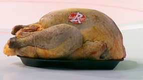 En Auvergne, un poulet fermier Label rouge est élevé pendant 81 jours minimum.