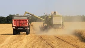 La France compte plus de 70.000 céréaliers qui exportent pour 5 milliards d'euros par an.