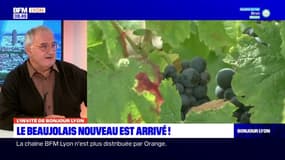 Beaujolais nouveau: une quantité en baisse mais une qualité au rendez-vous