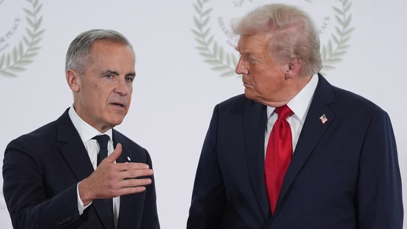 Donald Trump retire son invitation au Premier ministre canadien Mark Carney pour rejoindre son "Conseil de paix"