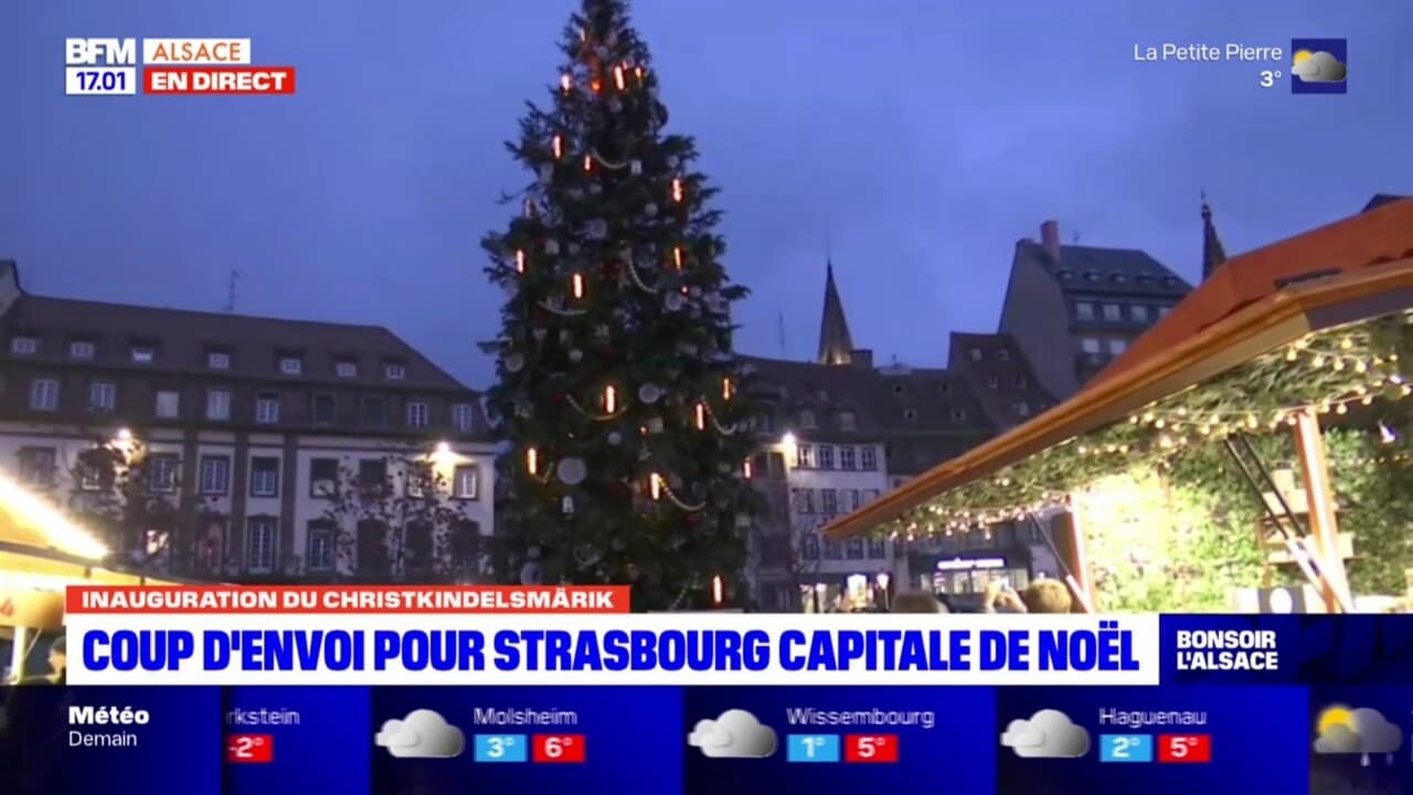 Strasbourg le sapin s'illumine pour le coup d'envoi du marché de Noël