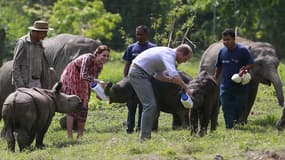 Un rhinocéros a été abattu par des braconniers dans le parc naturel d'Inde, visité par Kate et William quelques heures auparavant. 