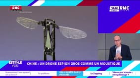 On n'arrête pas le progrès : Chine, un drone espion gros comme un moustique - 21/08