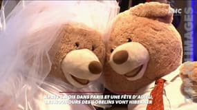 Les nounours des Gobelins à Paris s'en vont pour hiberner