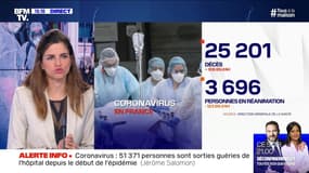 Coronavirus: 25 201 décès en France - 04/05