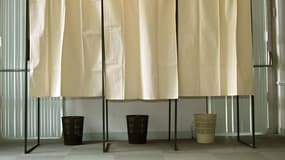 Les élections départementales auront lieu les 22 et 29 mars 2015.