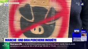 Manche: l'extension d'une porcherie inquiète les riverains de Saint-Ovin