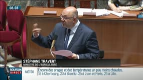 Glyphosate: "Nous devons recenser toutes les alternatives", selon le ministre de l'Agriculture