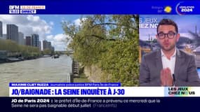 JO 2024: à J-30, le débit de la Seine inquiète