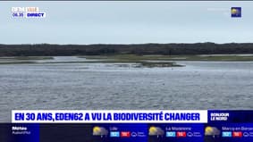 Pas-de-Calais: Eden62 se bat pour la biodiversité depuis 30ans
