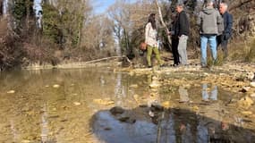 La question de la gestion de l'eau dans la collectivité Pays de Forcalquier Montagne de Lure fait débat.