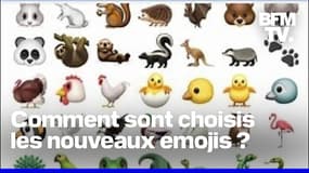 Comment sont choisis les nouveaux emojis ? 