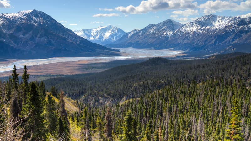 Quand la Slims river courrait au pied du mont Maxwell dans le Yukon, au Canada.