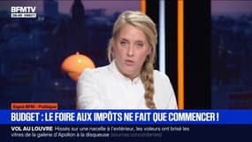 SIGNÉ BFM - Examen du budget: "Nos députés sont pris de taxite aiguë" 