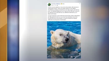 L'ours polaire Moni avait 32 ans.