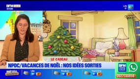 Nord-Pas-de-Calais: la sélection des sorties pour les vacances de Noël