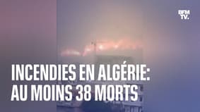 Les images des incendies en Algérie qui ont fait au moins 38 morts et plus de 200 blessés