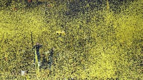 L'ambiance du Signal Iduna Park.