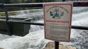 La mairie de Moret-sur-Loing (Seine-et-Marne) a déployé des mesures pour dissuader les personnes de nager dans le cours d'eau interdit à la baignade.