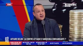 Affaire Delon: contre attaque d'Anouchka:  convaincante ? 