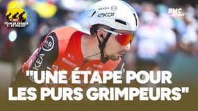 Tour de France (E12) : “Les leaders vont commencer à mettre le nez devant…”, estime Vauquelin