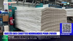 Seine-Maritime: vente en hausse pour une usine de couette normande
