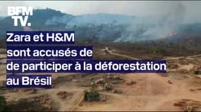 Zara et H&M sont accusés par une ONG de participer à la déforestation au Brésil