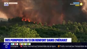 Une vingtaine de pompiers des Bouches-du-Rhône envoyés en renfort dans l'Hérault