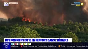 Une vingtaine de pompiers des Bouches-du-Rhône envoyés en renfort dans l'Hérault