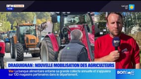 "Un acte symbolique": les agriculteurs une nouvelle fois mobilisés à Draguignan