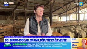 Hautes-Alpes: la députée Marie-José Allemand conjugue son mandat avec son métier d’éleveuse