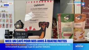Nice: un café pour nos amis à quatre pattes