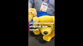 Un chien robotisé plus vrai que nature