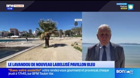 Le Lavandou de nouveau labellisé "Pavillon Bleu"