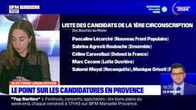 Législatives: le point sur les candidatures désormais officielles en Provence