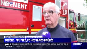 En Lozère, un incendie détruit 70 hectares de forêt, le feu fixé par les pompiers